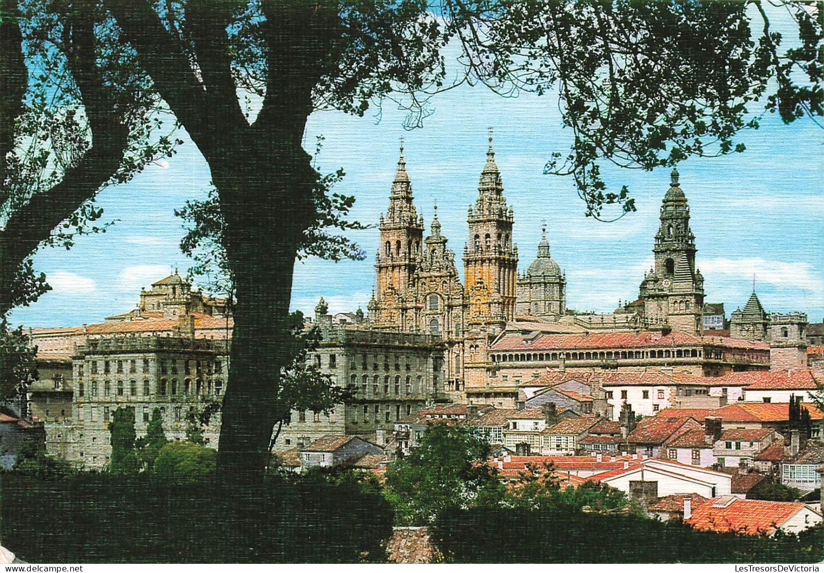 ESPAGNE - Santiago De Compostela - La Catedral Desde El Paseo De La Herradura - Carte Postale - Santiago De Compostela