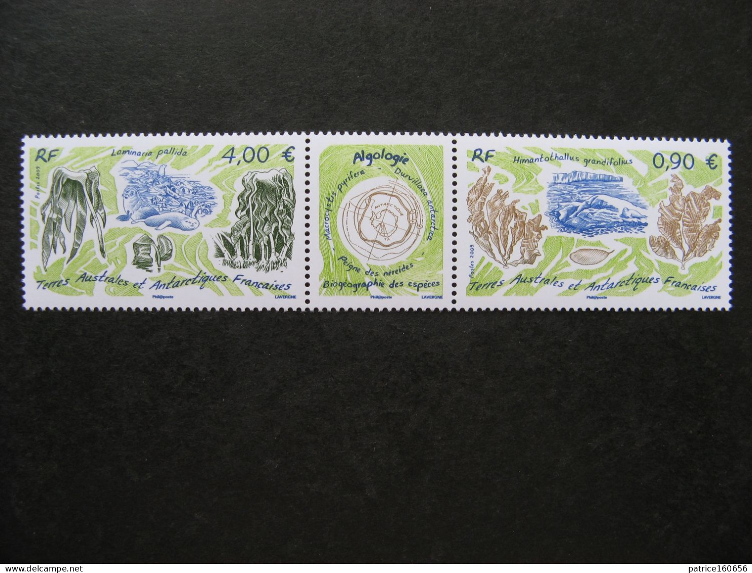 TAAF: TB Bande N° 528/529, Neuve XX. - Unused Stamps