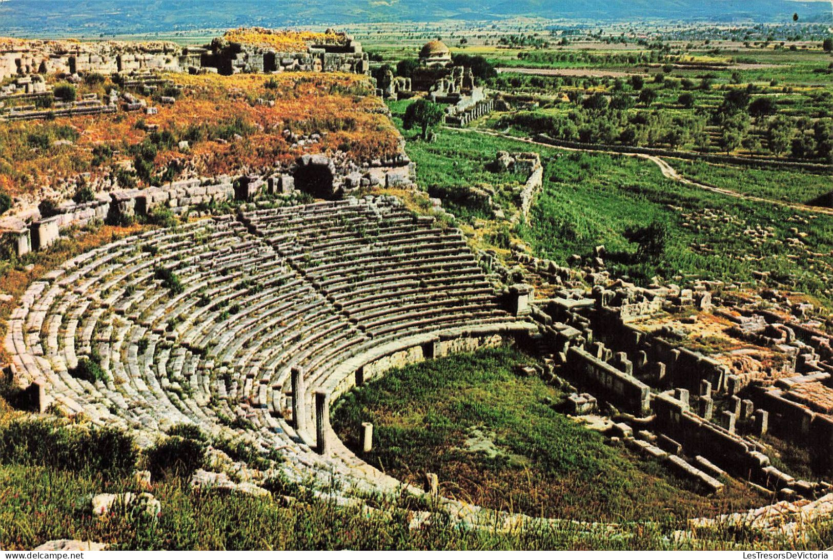 TURQUIE - Milet - Turkiye - Soke - Milet (Tiyatro) - The Theatre - Le Théâtre - Carte Postale Ancienne - Turkey