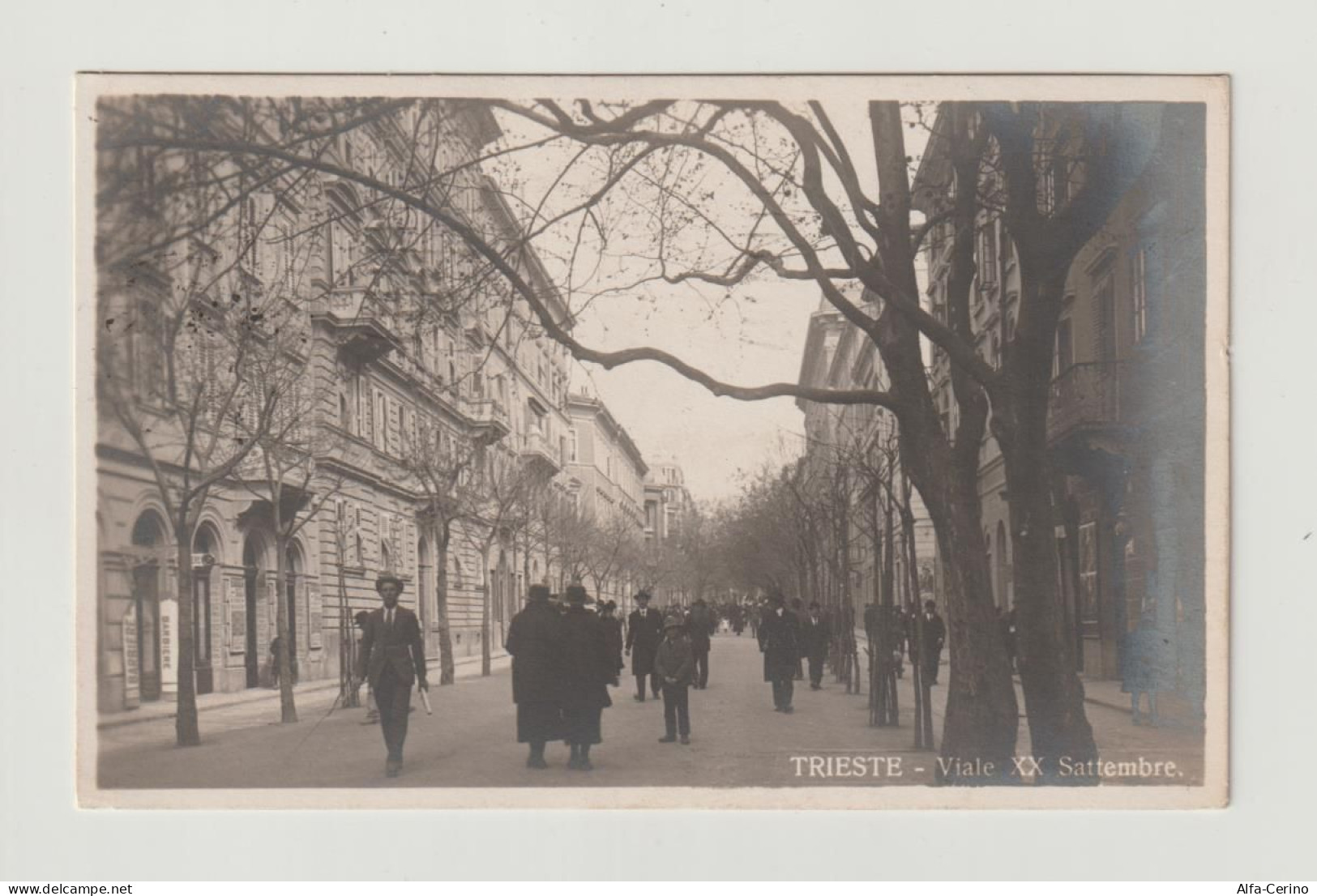 TRIESTE:  VIALE  XX  SETTEMBRE  -  FOTO  -  FP - Trieste