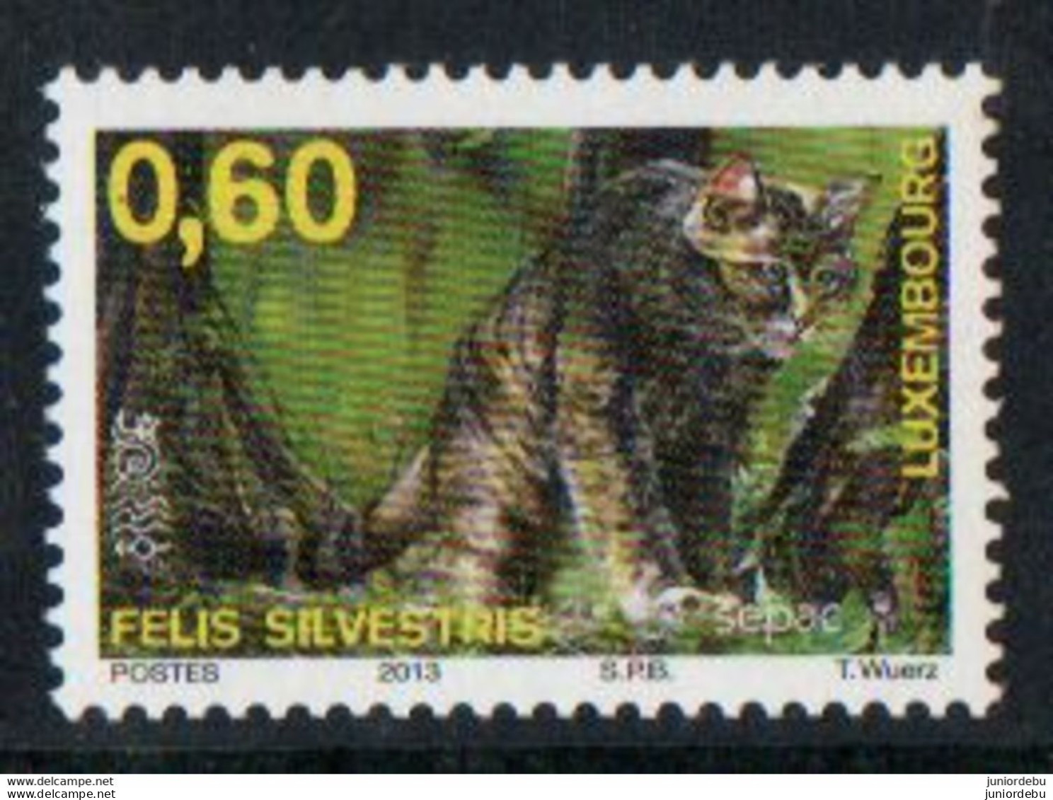 Luxembourg  - 2013 - Felis Silvestris - MNH. ( OL 05/12/2022) - Félins