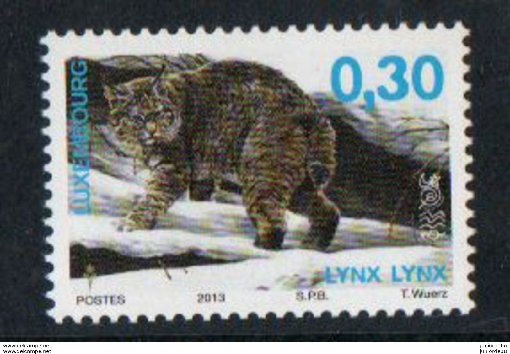 Luxembourg  - 2013 - Lynx Lynx - MNH. ( OL 05/12/2022) - Roofkatten