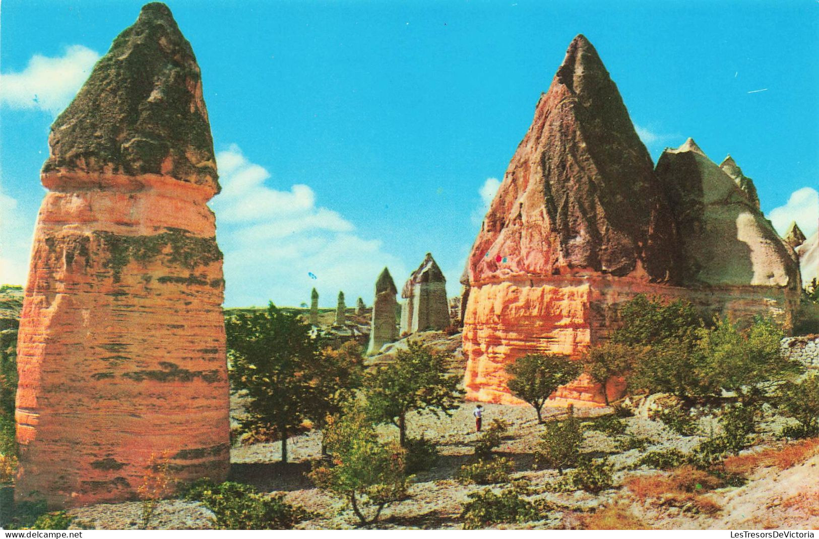 TURQUIE - Nevsehir - Turkiye - Les Formations De Cheminée De Fée - Près De Zelve - Carte Postale Ancienne - Turquie