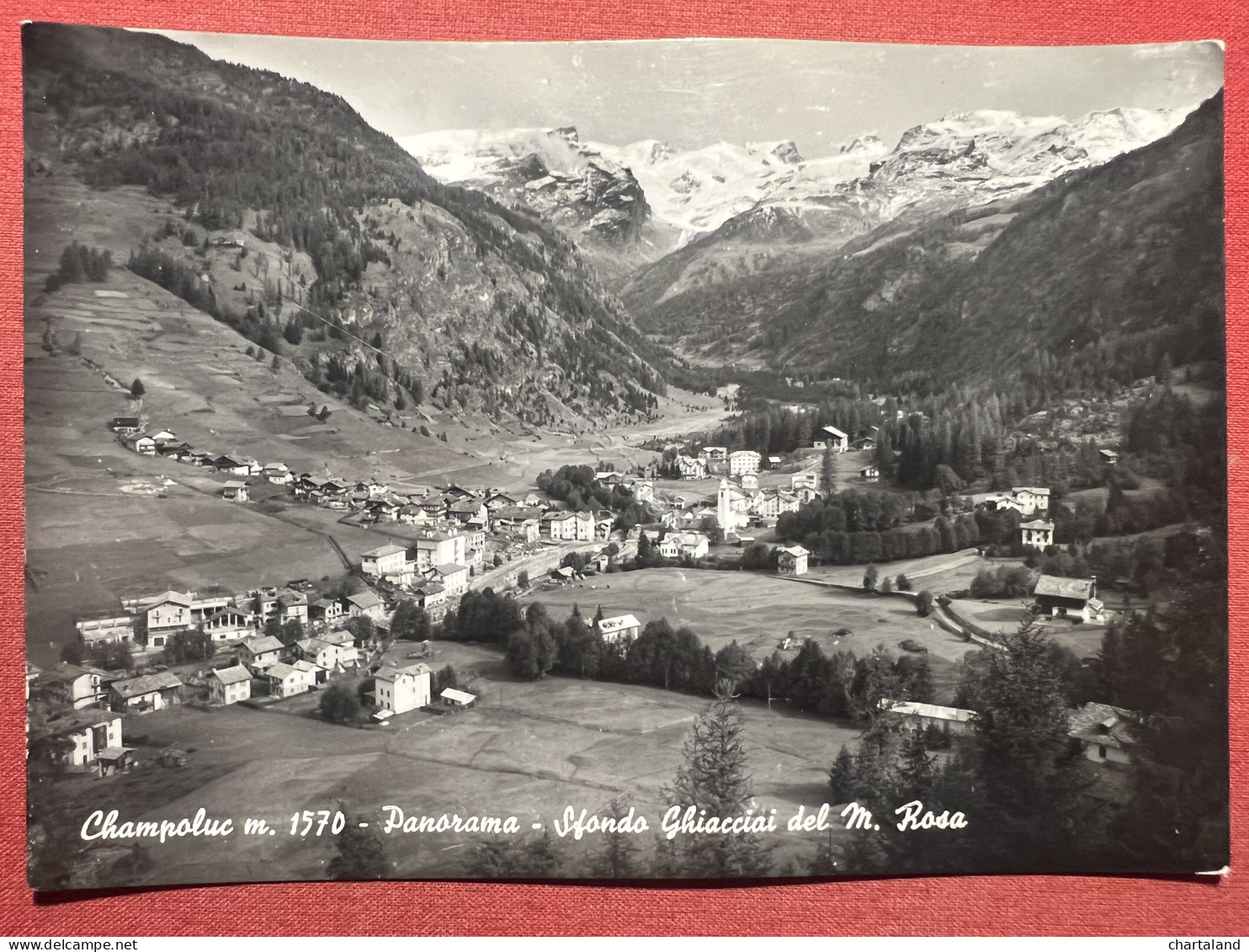 Cartolina - Champoluc ( Valle D'Aosta ) - Panorama - Sfondo Monte Rosa - 1958 - Other & Unclassified