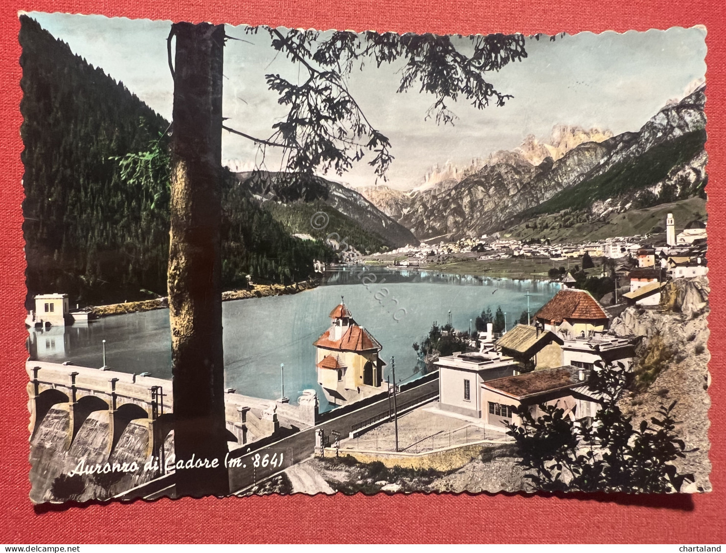 Cartolina - Auronzo Di Cadore ( Belluno ) - Panorama - 1955 - Belluno