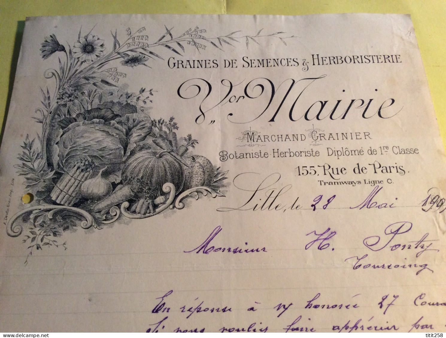 Botaniste Herboriste Semences Marchand Grainier LILLE 59 Hauts De France Nord 1905 - 1900 – 1949