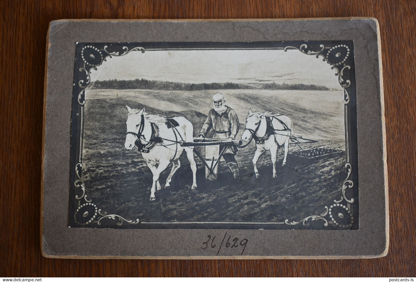 Cardboard Photo Scenes Romanian Farmer Horse Plow 1900-1910 - Autres & Non Classés
