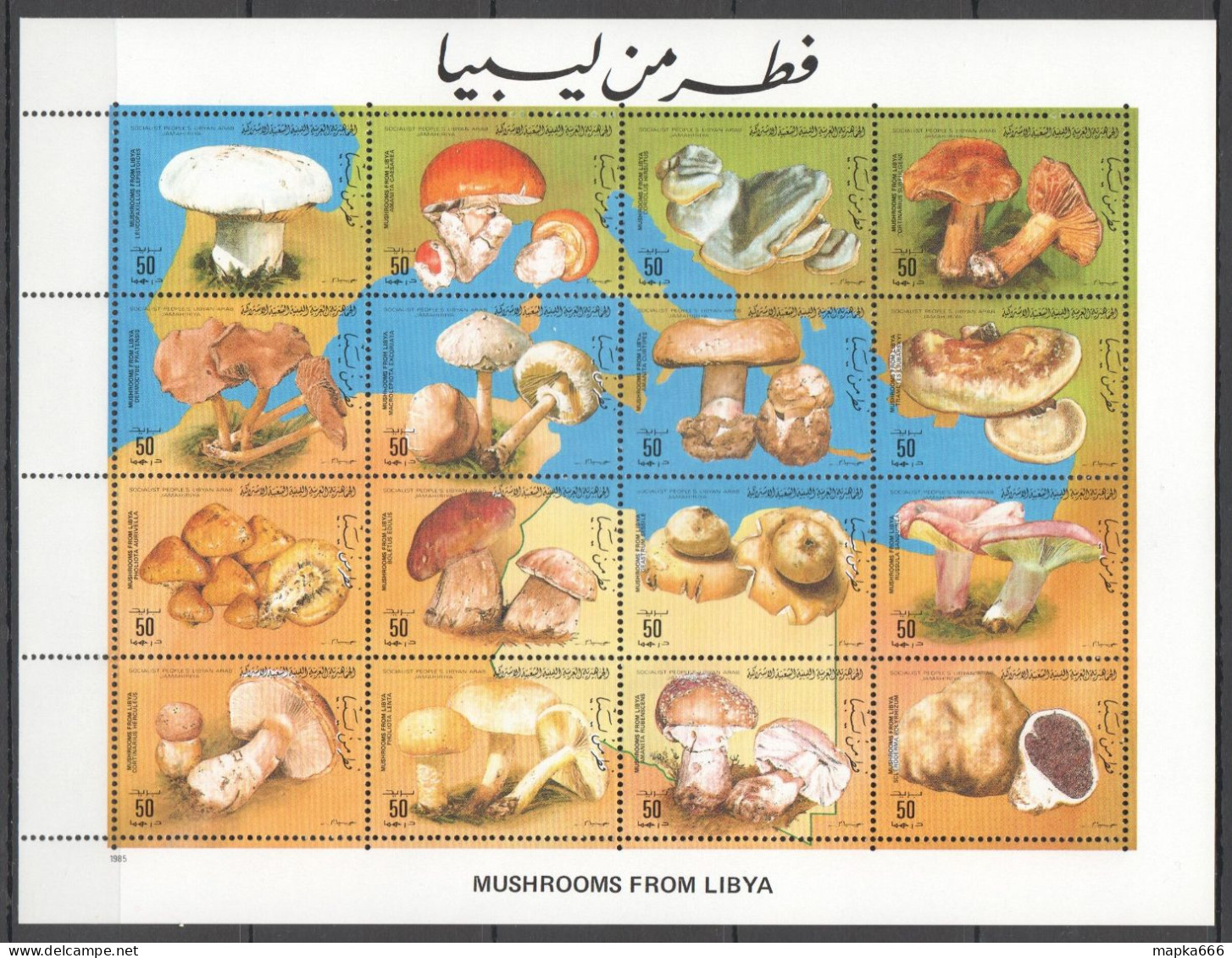 Ft223 1985 Libya Mushrooms From Libya Nature #1554-69 1Sh Mnh - Mushrooms