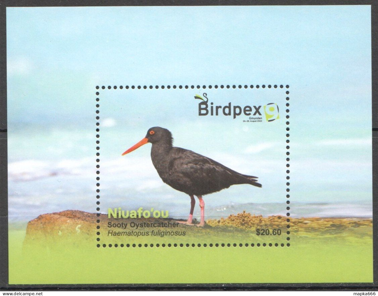 Ft210 2022 Niuafo'Ou Birds Fauna Birdpex 9 Sooty Oystercatcher Bl Mnh - Other & Unclassified