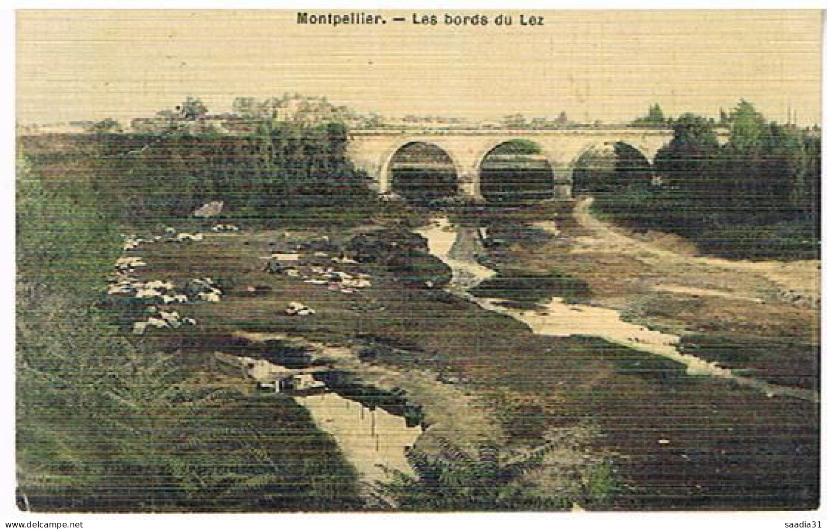 34  MONTPELLIER  LES BORDS DU LEZ  1908 - Montpellier