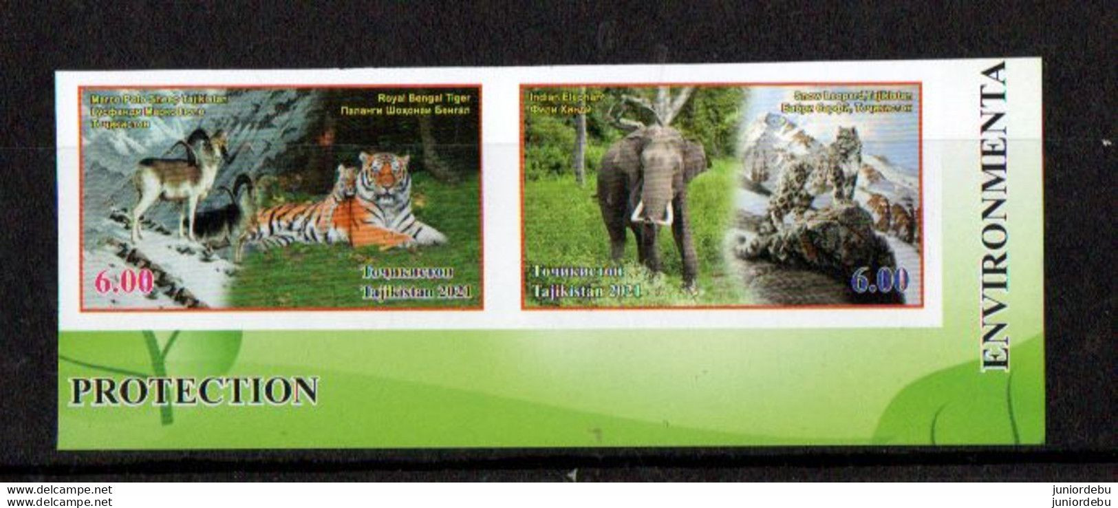 Tajikistan - 2021 - Environmental Protection   - Tiger, Elepant, Snow Leopard And Argali   - Set - MNH ( OL 24/06/2022) - Tadjikistan