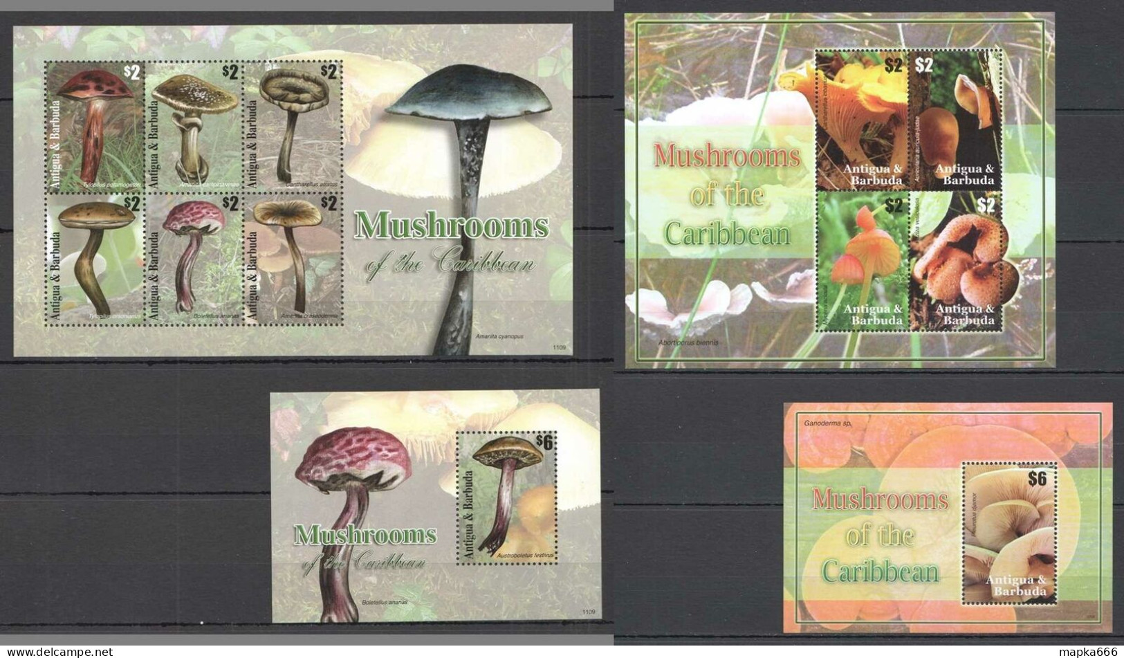 O0159 Antigua & Barbuda Flora Nature Mushrooms Caribbean 2Bl+2Kb Mnh - Pilze