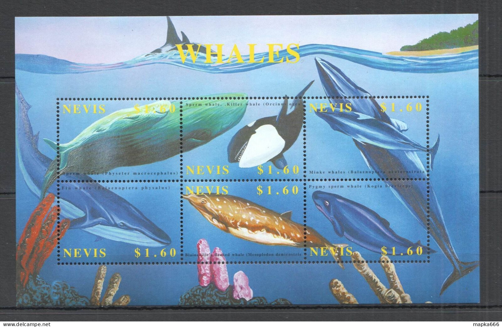 O0153 Nevis Fauna Fish & Marine Life Whales 1Kb Mnh - Maritiem Leven