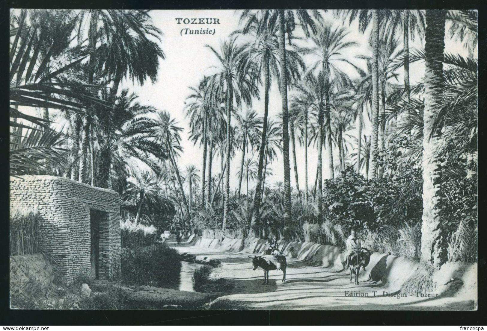 924 - TUNISIE - TOZEUR - Tunisie