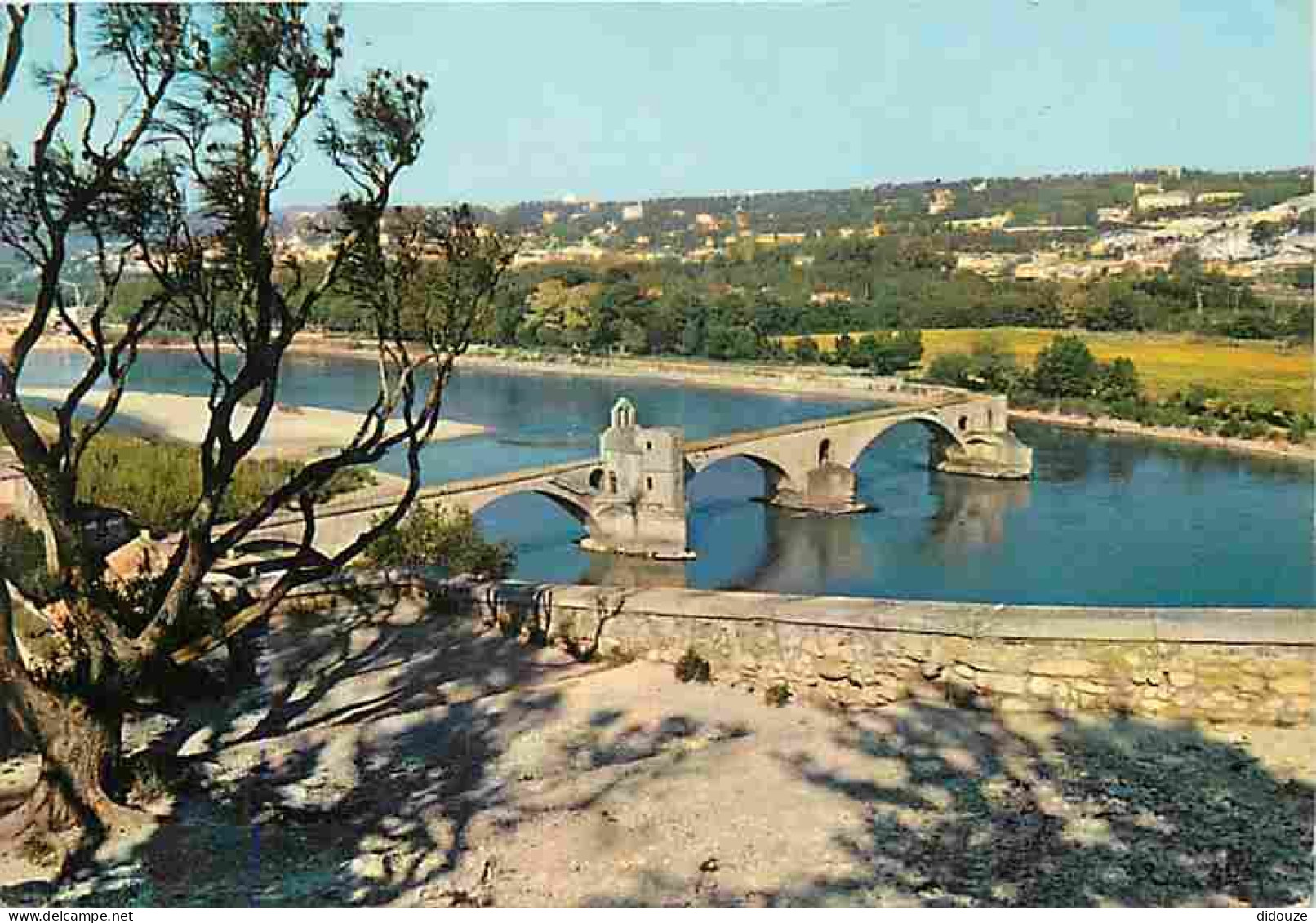 84 - Avignon - Le Pont Saint Bénézet - CPM - Voir Scans Recto-Verso - Avignon