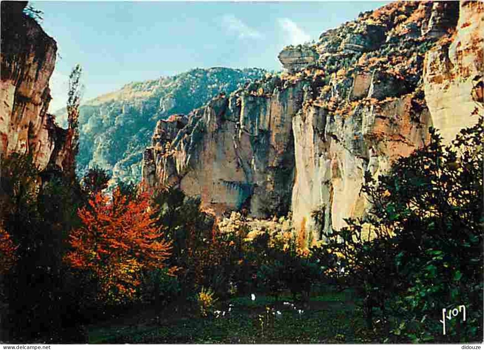 48 - Les Gorges Du Tarn - Cirque Des Baumes - CPM - Voir Scans Recto-Verso - Gorges Du Tarn