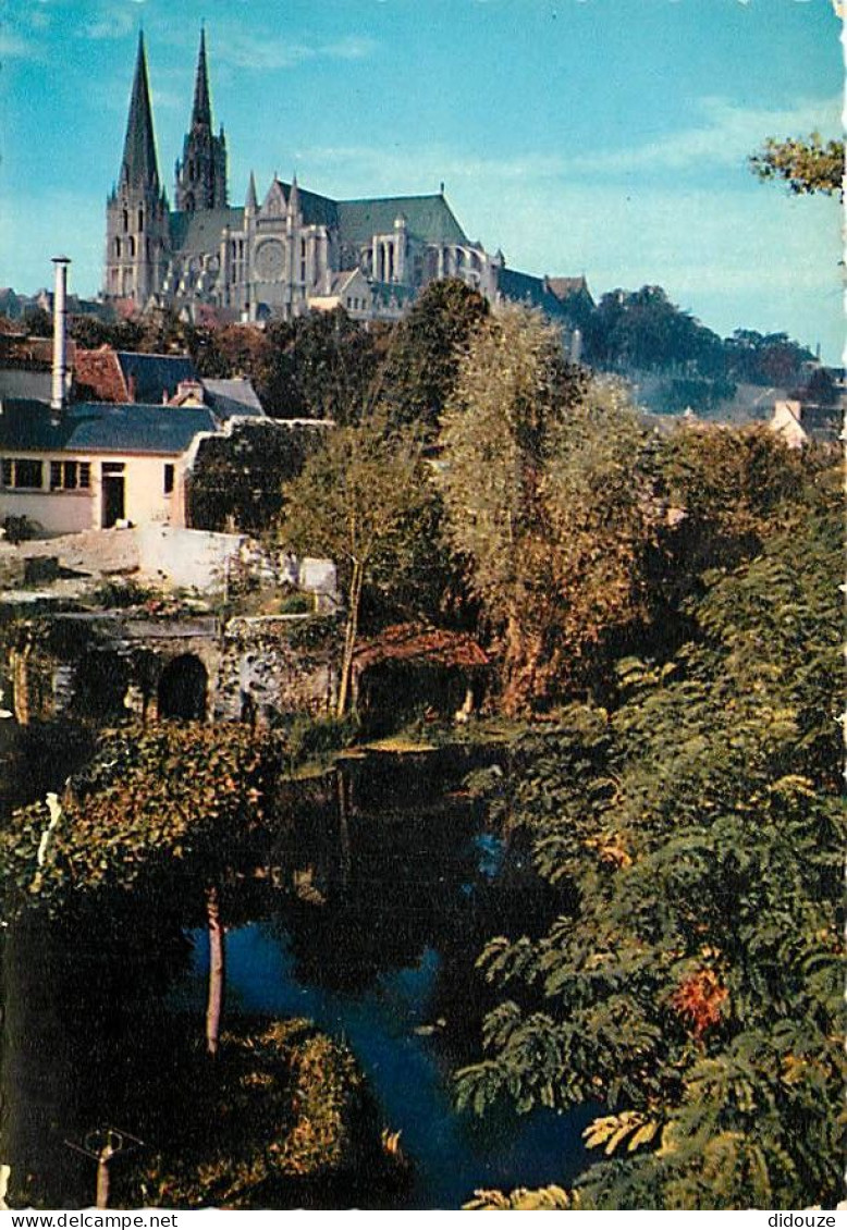 28 - Chartres - Les Bords De L'Eure Et La Cathédrale - CPM - Voir Scans Recto-Verso - Chartres