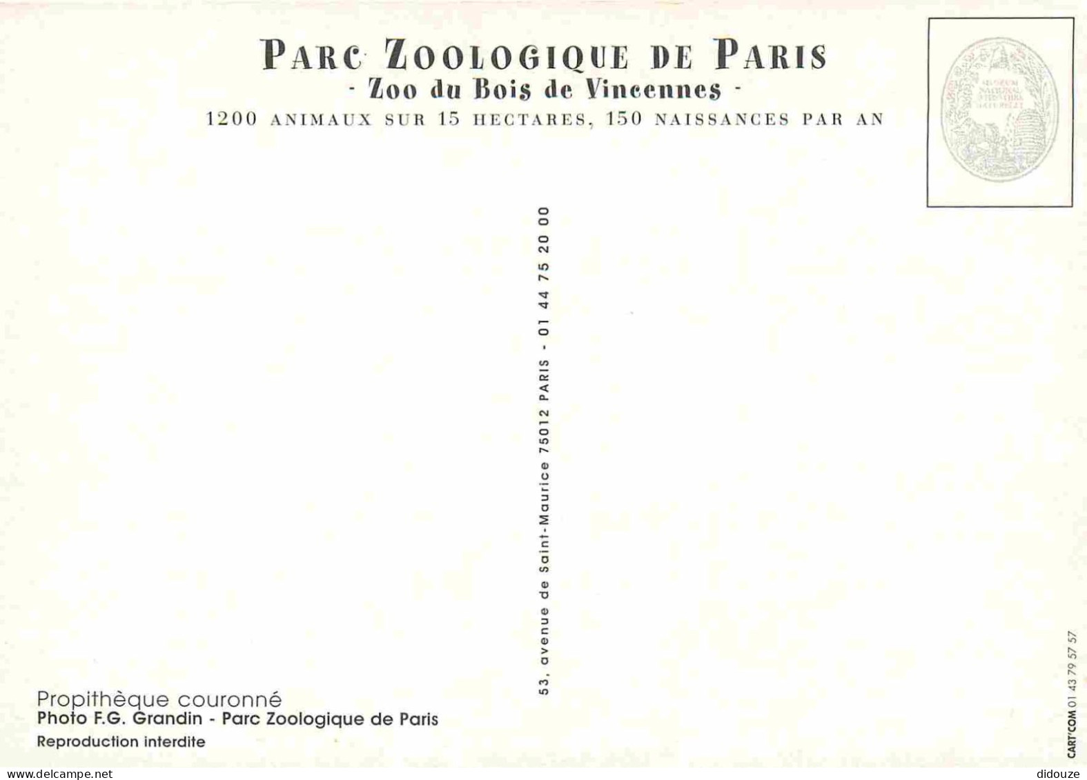 Animaux - Propithèque Couronné - Parc  Zoologique De Paris - Zoo Du Bois De Vincennes - CPM - Carte Neuve - Voir Scans R - Andere & Zonder Classificatie