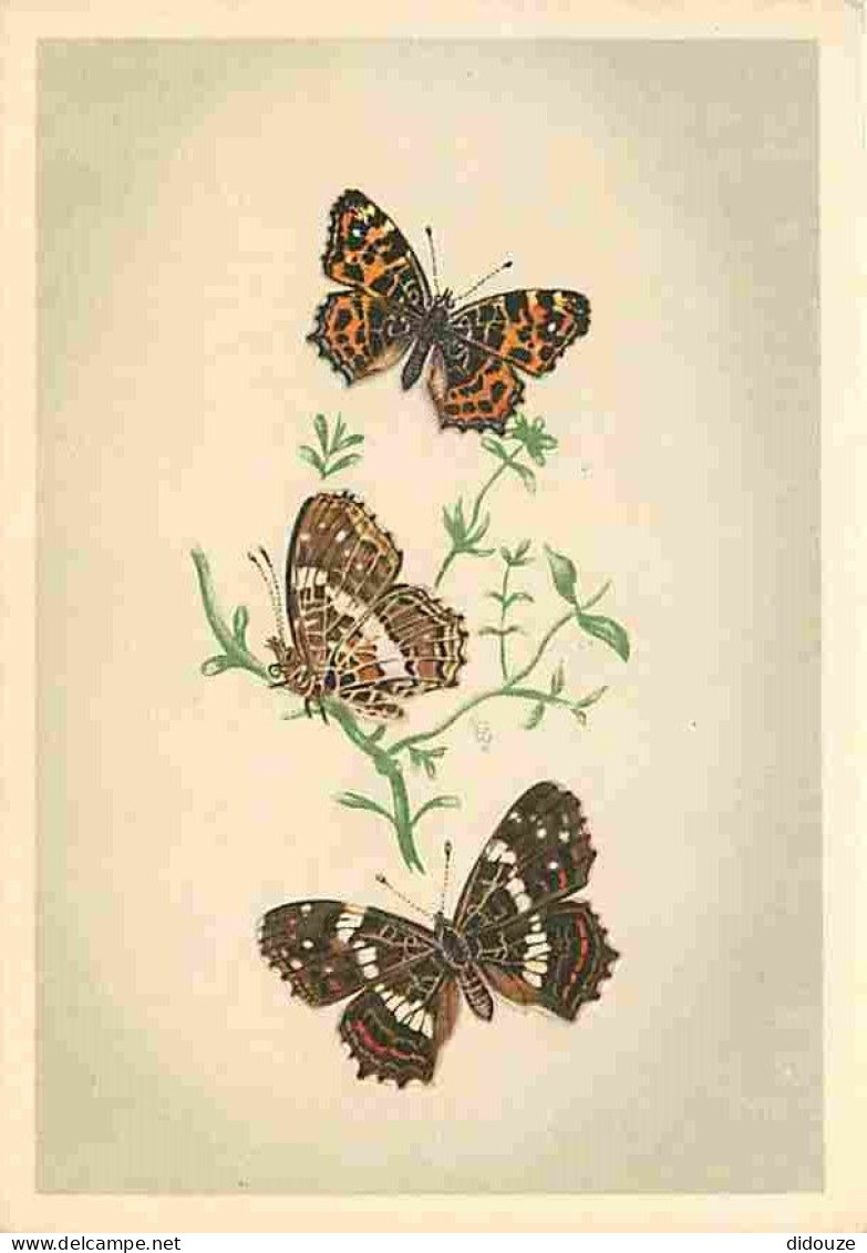 Animaux - Papillons - Papillons Diurnes D'Europe - Série 2 - 14 - Carte Géographique - Araschnia Levana L - CPM - Voir S - Papillons