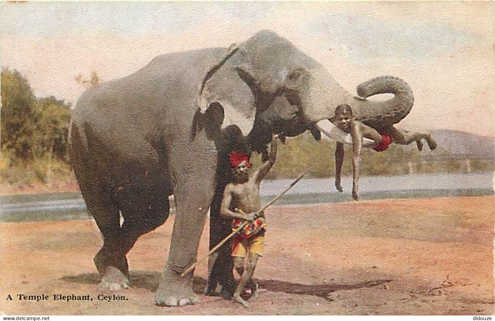 Animaux - Eléphants - Sri Lanka - Ceylon - A Temple Elephant - Animée - Colorisée - CPA - Voir Scans Recto-Verso - Éléphants