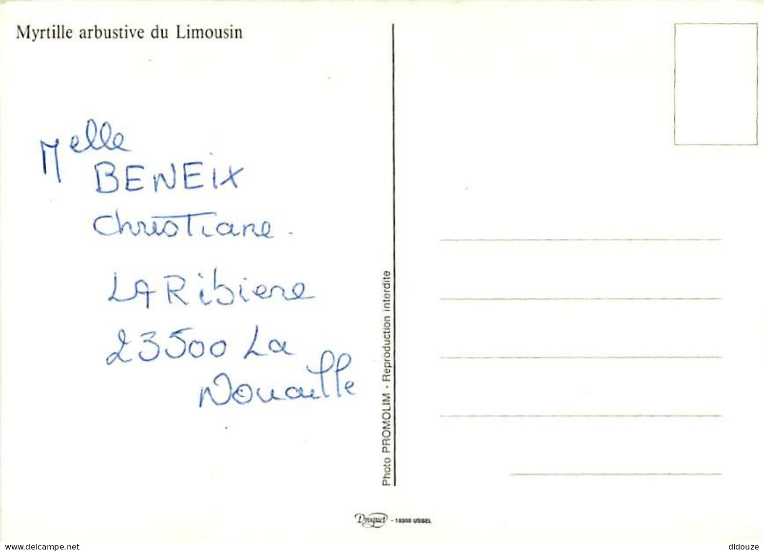 Recettes De Cuisine - Gastronomie - CPM - Voir Scans Recto-Verso - Recettes (cuisine)