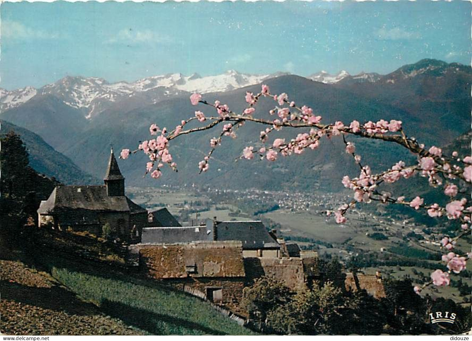 31 - Luchon - CPM - Voir Scans Recto-Verso - Luchon