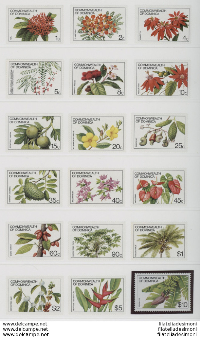 1981 Dominica, Serie Ordinaria - Flora - Yvert N. 694-711 - 18 Valori - MNH** - Autres & Non Classés