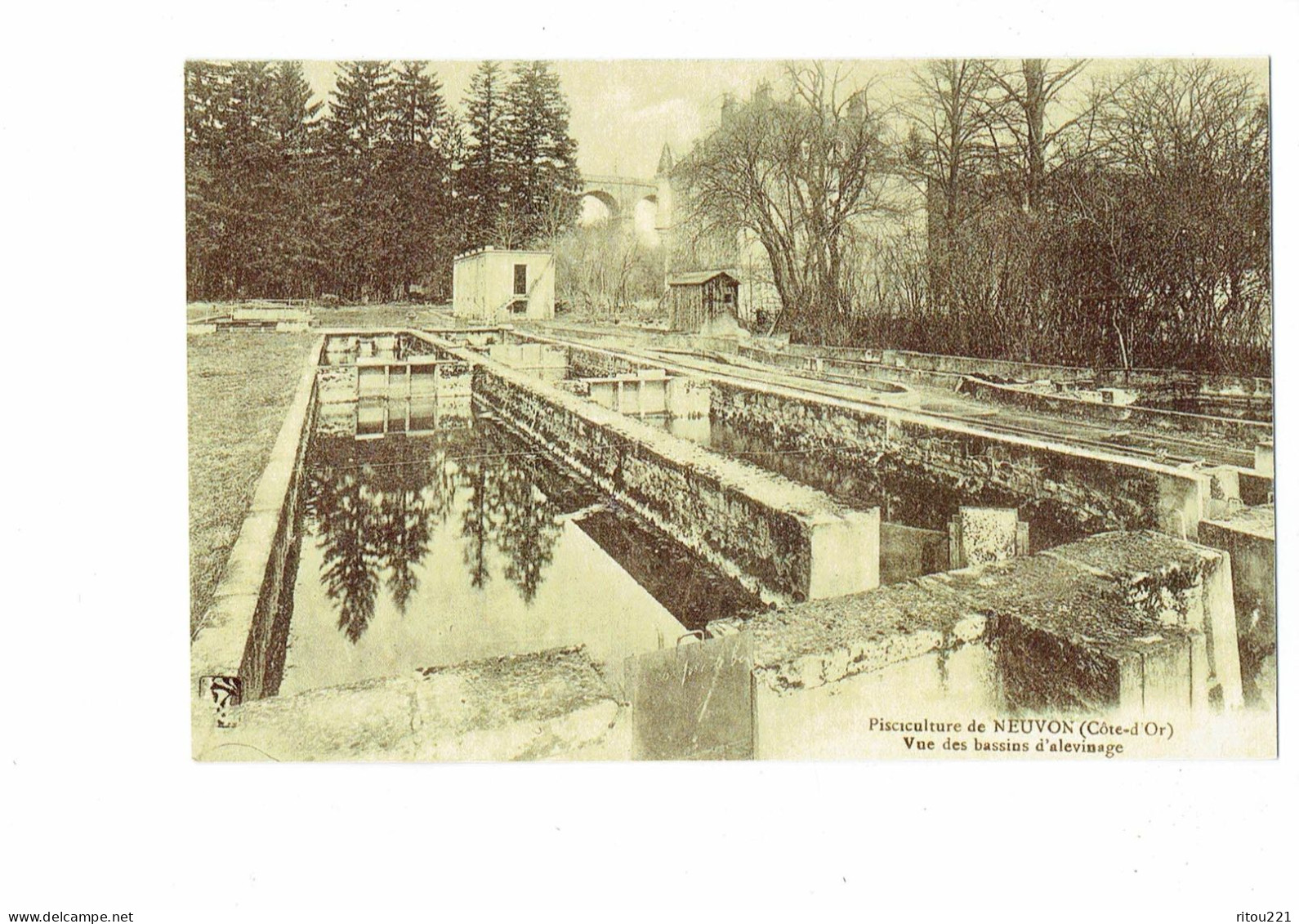 21 - Reproduction - NEUVON - Côte D'Or -- Pisciculture - Vue Des Bassins D'alevinage - - Autres & Non Classés