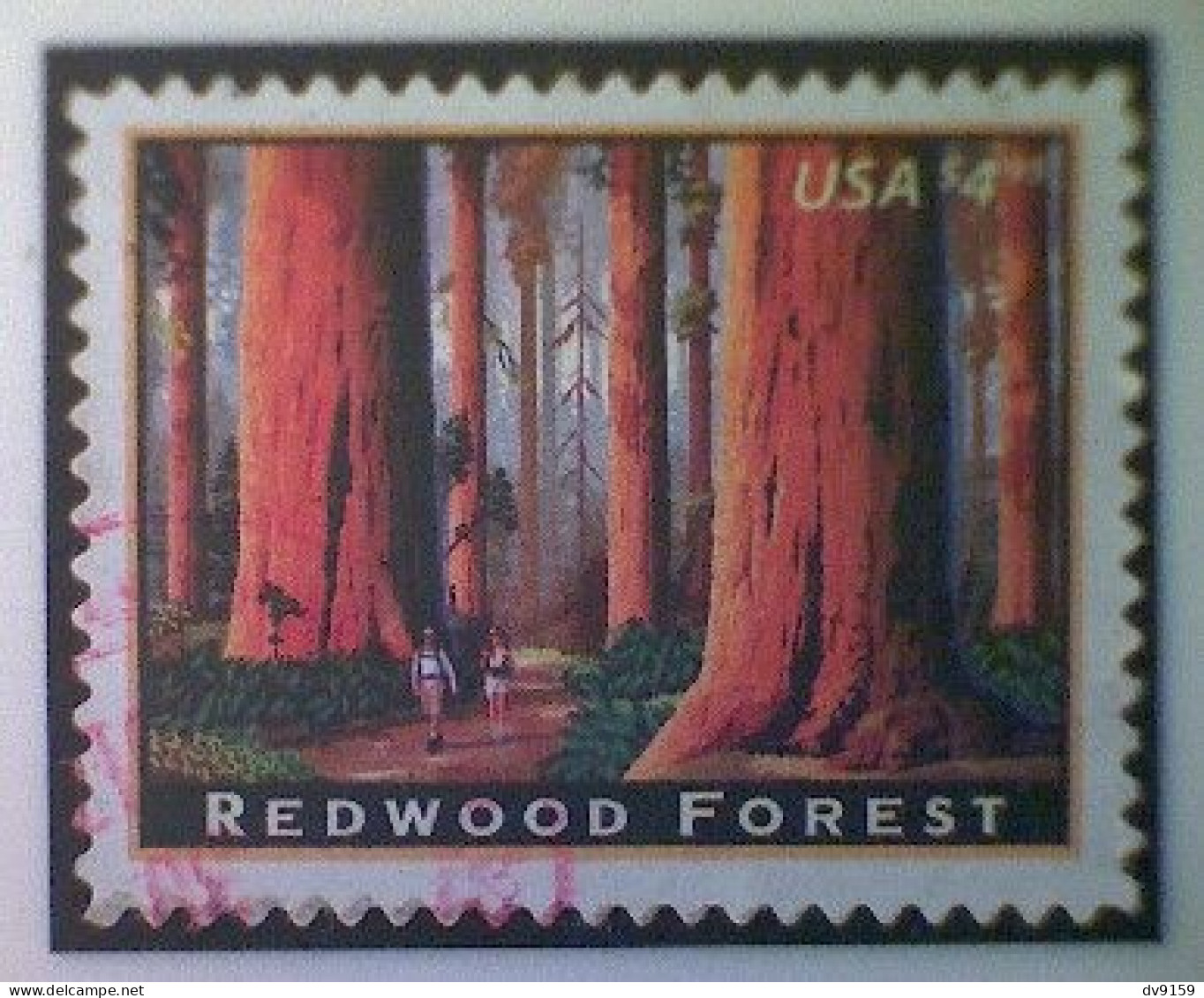 United States, Scott #4378 Used(o), 2009, American Landmarks Series: Redwood Forrest, $4.95, Multicolored - Gebraucht