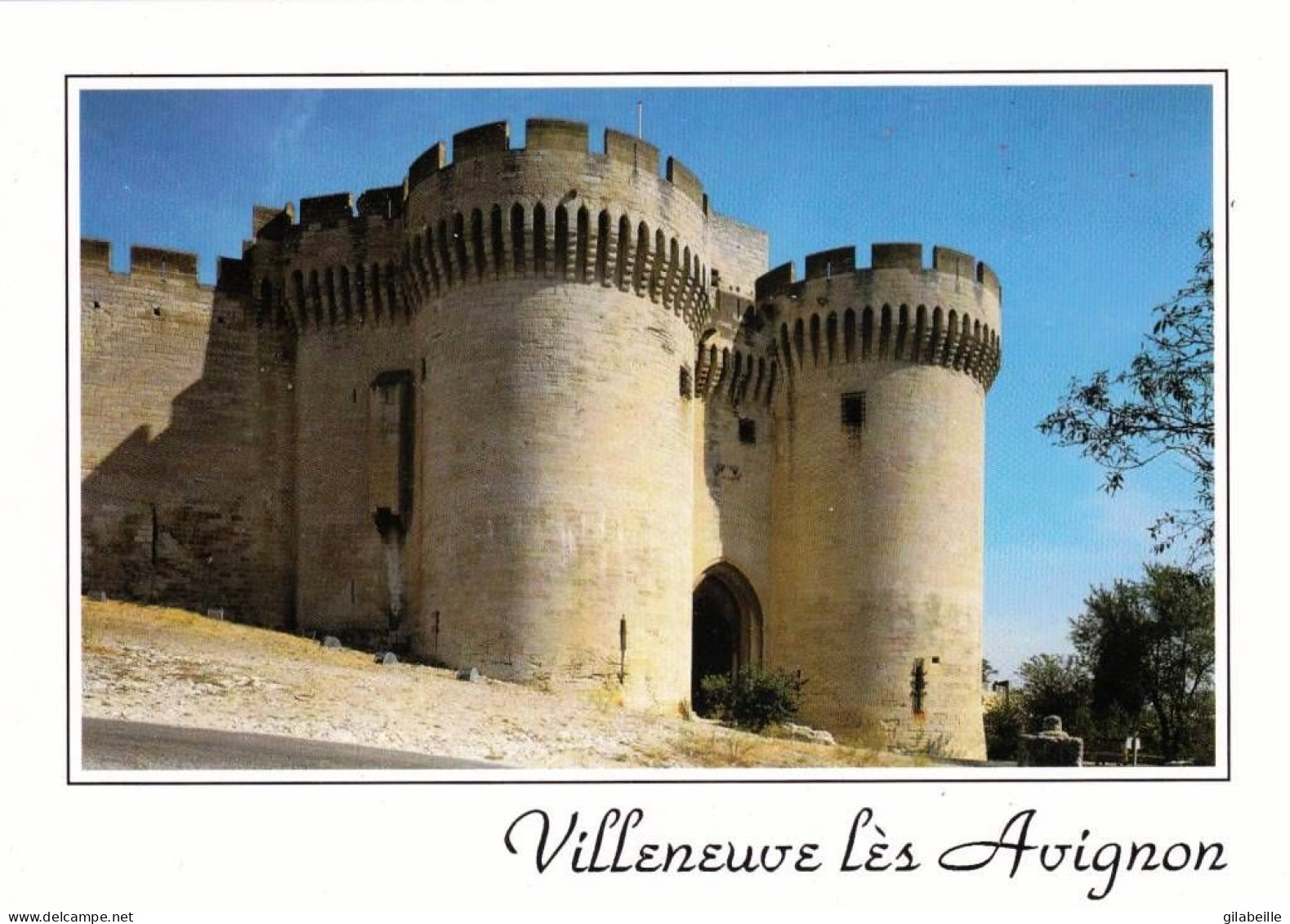 30 - Gard -  VILLENEUVE  Les AVIGNON -  Le Fort Saint André - Villeneuve-lès-Avignon