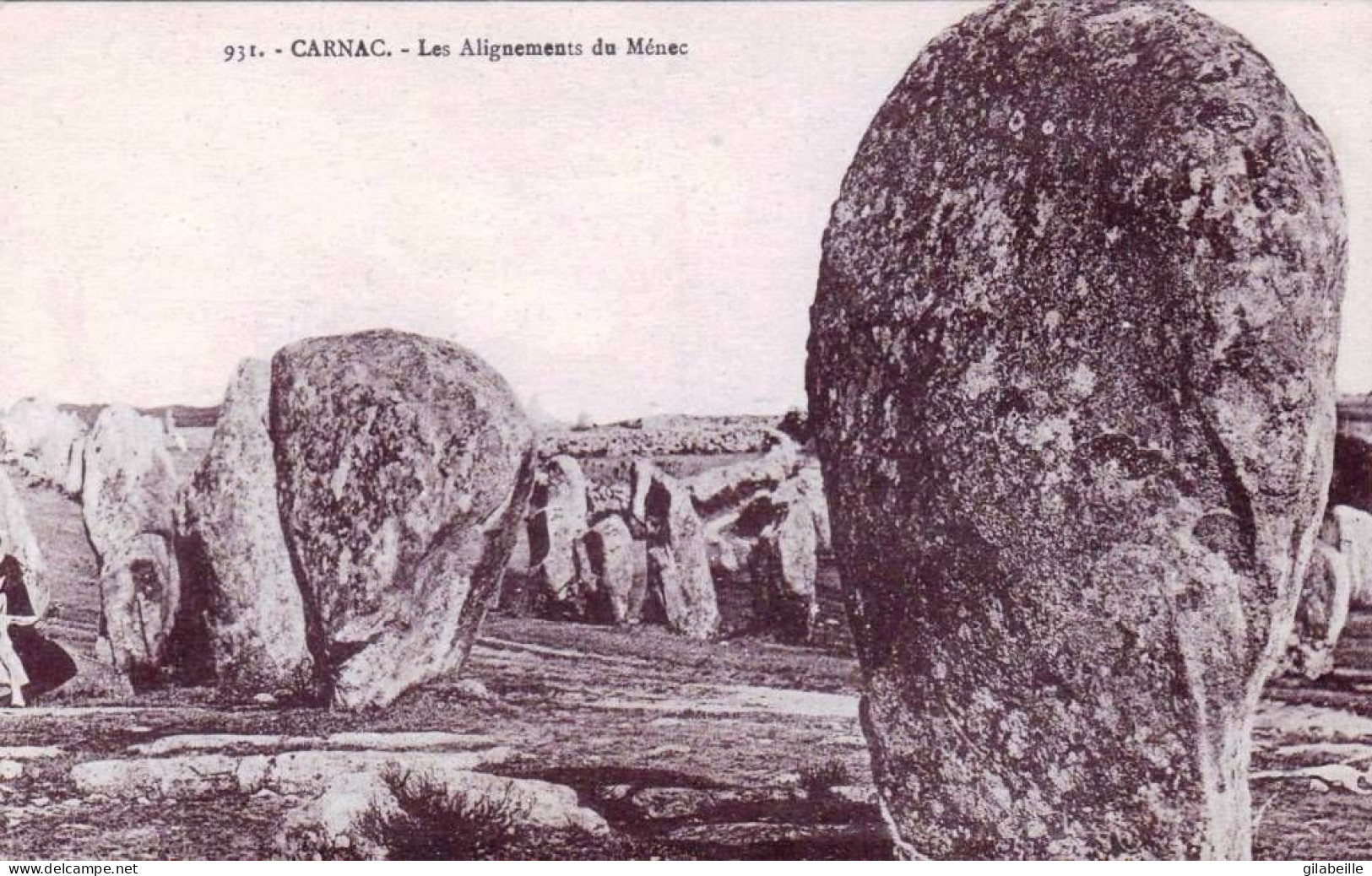 56 - Morbihan - CARNAC - Les Menhirs - Alignements Du Ménéc - Carnac