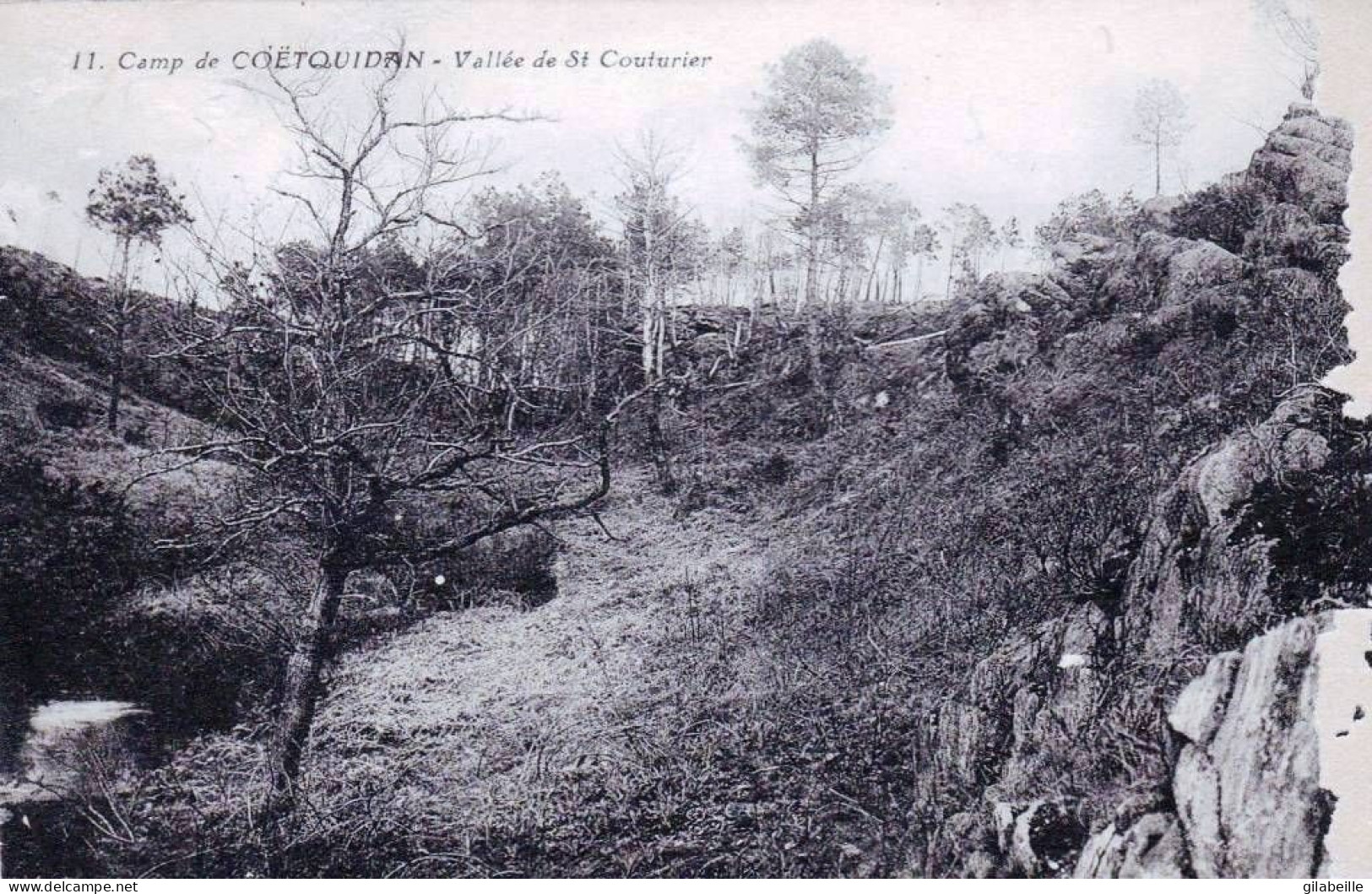 56 - Morbihan -  Camp De COETQUIDAN - Vallée De St Couturier - Sonstige & Ohne Zuordnung