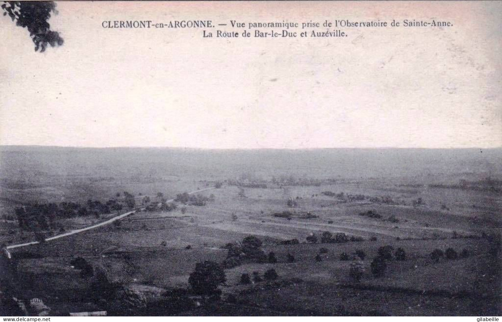 55 - Meuse -  CLERMONT EN ARGONNE - Vue Panoramique Prise De L Observatoire De Sainte Anne - - Clermont En Argonne