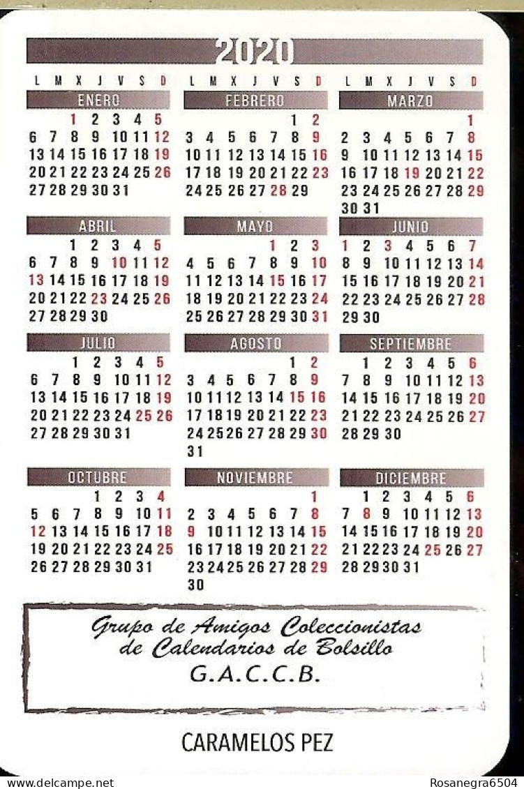 9 SPAIN POCKET CALENDARS - YEAR 2020 - CARAMELOS PEZ - Petit Format : 2001-...