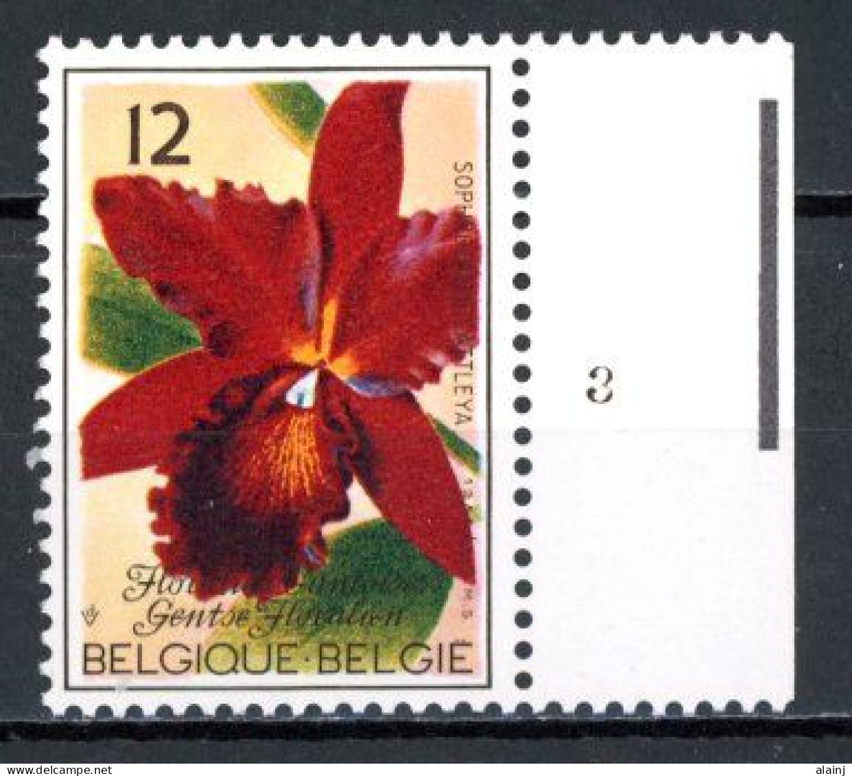 BE  2165  XX   ---- Floralies Gantoises   --  N° De Planche 3 - 1981-1990
