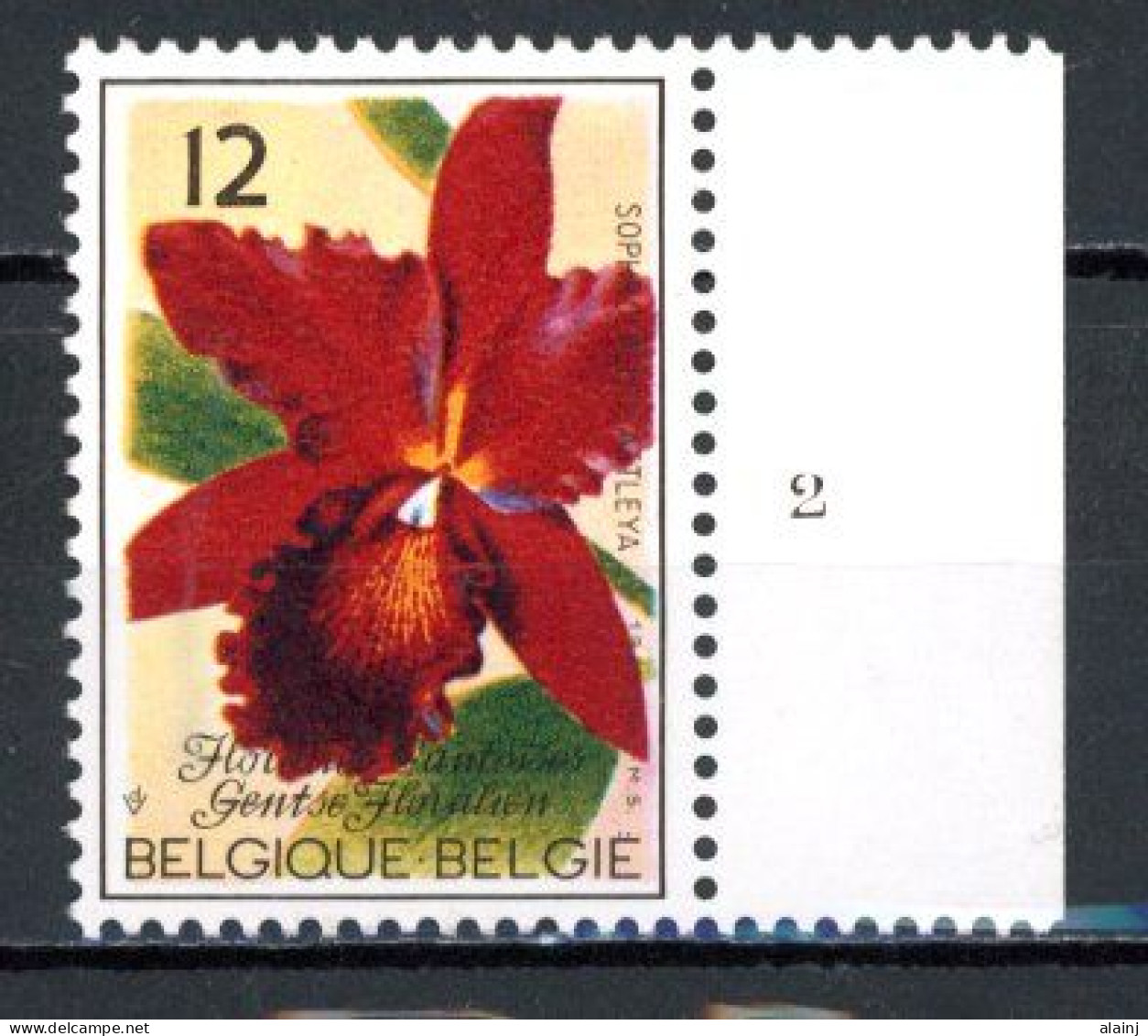 BE  2165  XX   ---- Floralies Gantoises   --  N° De Planche 2 - 1981-1990