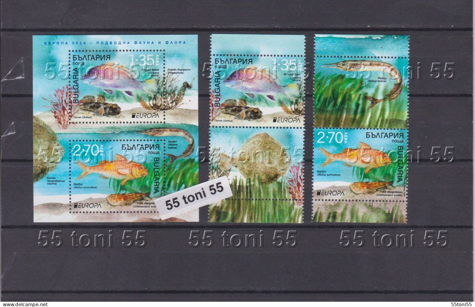 2024 Europa  - Underwater Fauna And Flora  2v.+S/S+ Vignette – MNH Bulgaria / Bulgarie - Unused Stamps