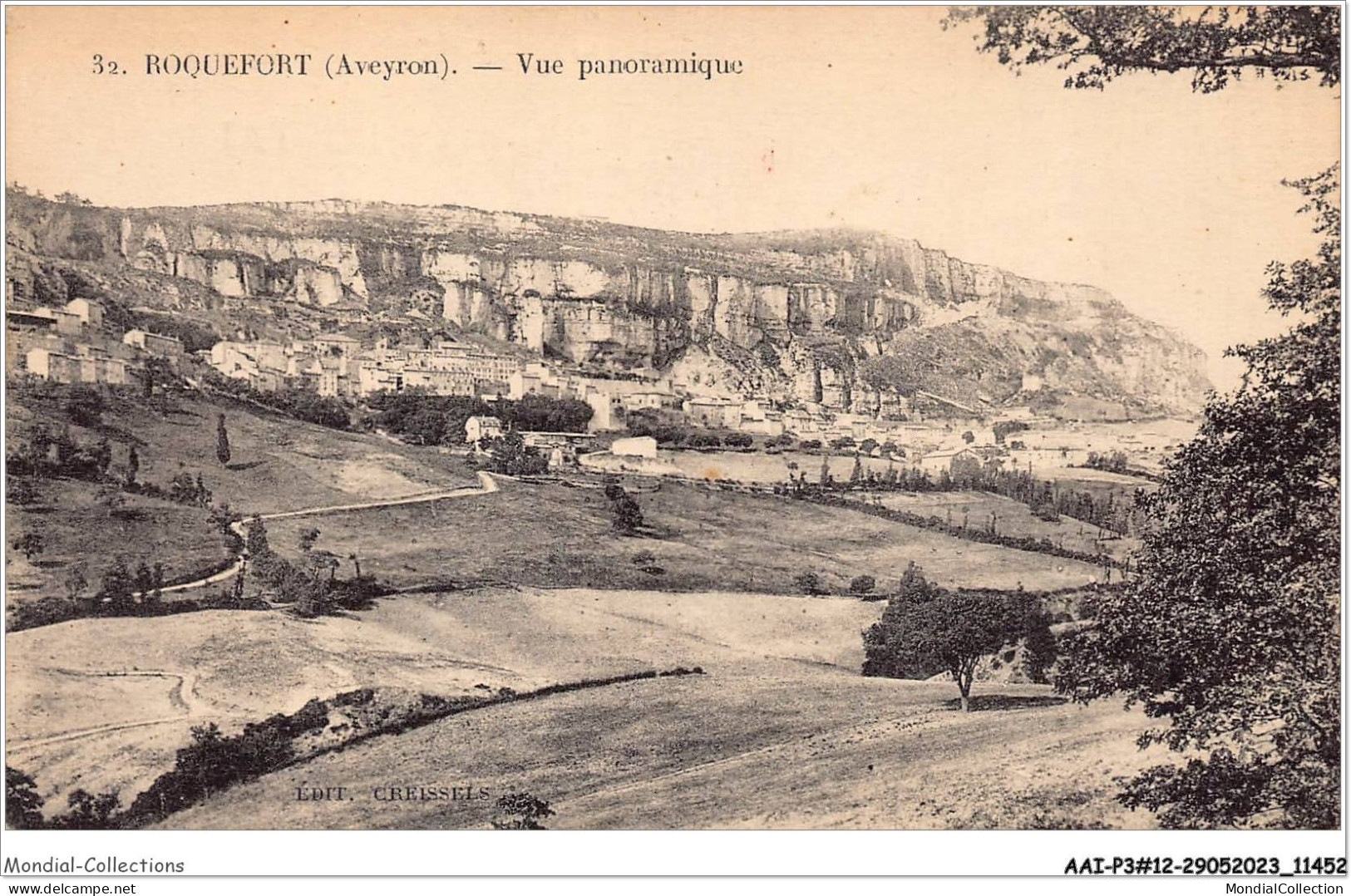 AAIP3-12-0253 - ROQUEFORT - Vue Panoramique  - Roquefort