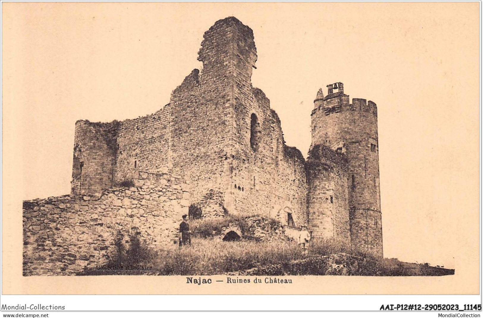 AAIP2-12-0098 - NAJAC - Ruines Du Chateau  - Najac