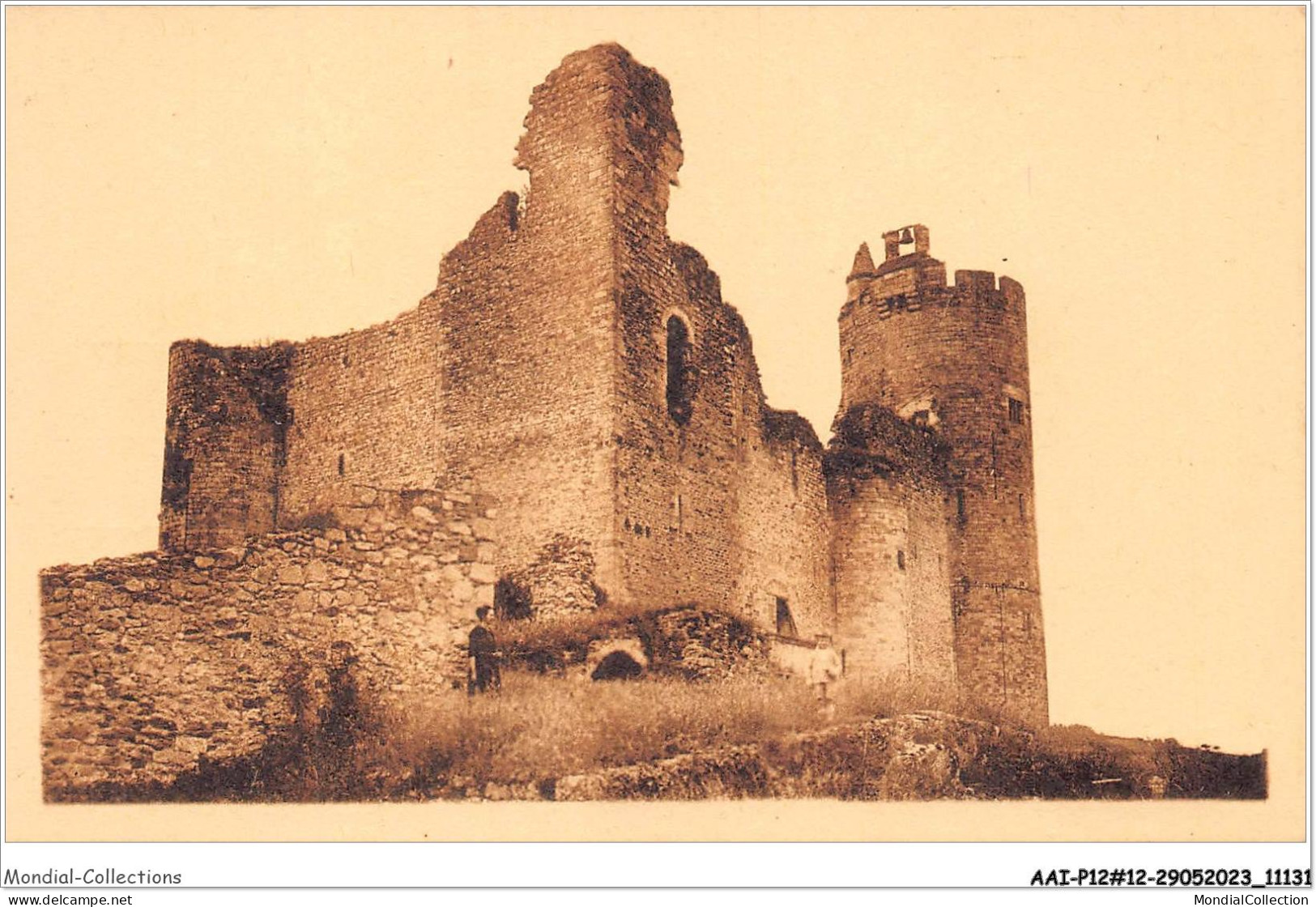 AAIP2-12-0091 - NAJAC - Ruines Du Chateau  - Najac