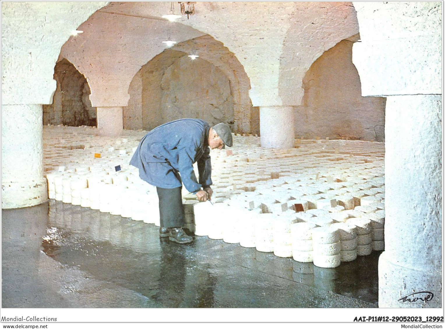 AAIP11-12-01018 - ROQUEFORT-SUR-SOULON - Dans Les Saloirs - Les Fromagessont L'Objet De Soins Attentifs - Roquefort