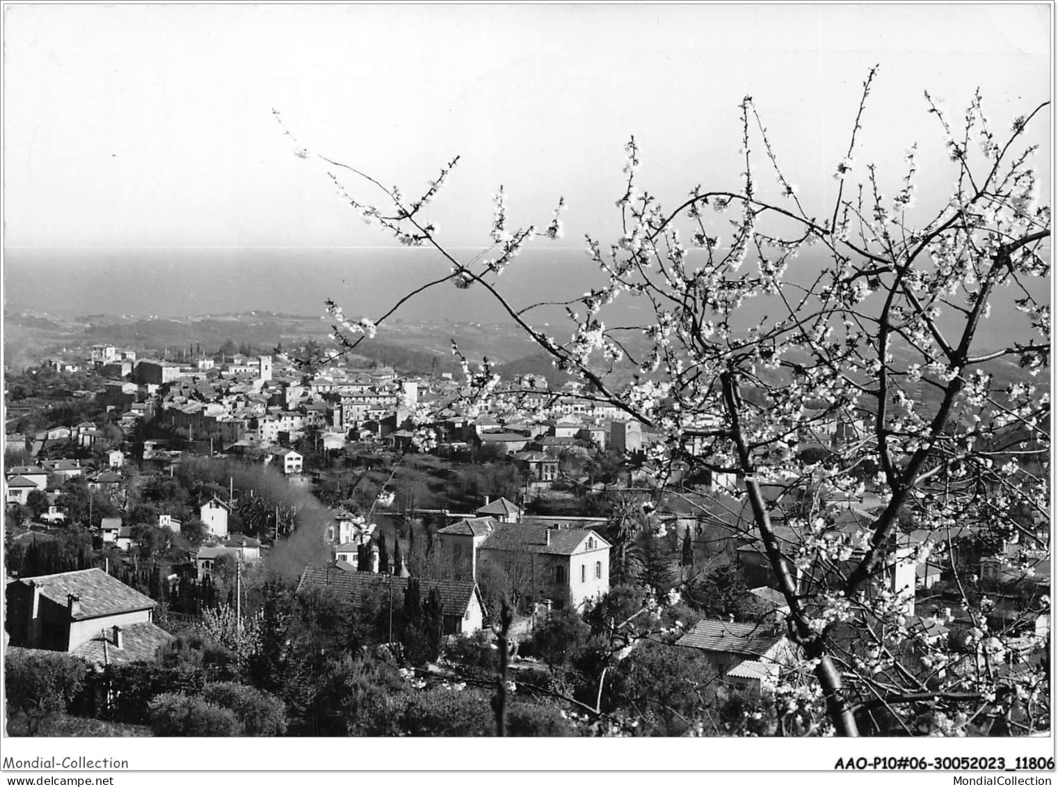 AAOP10-06-0859 - VENCE - Vue Générale - Vence