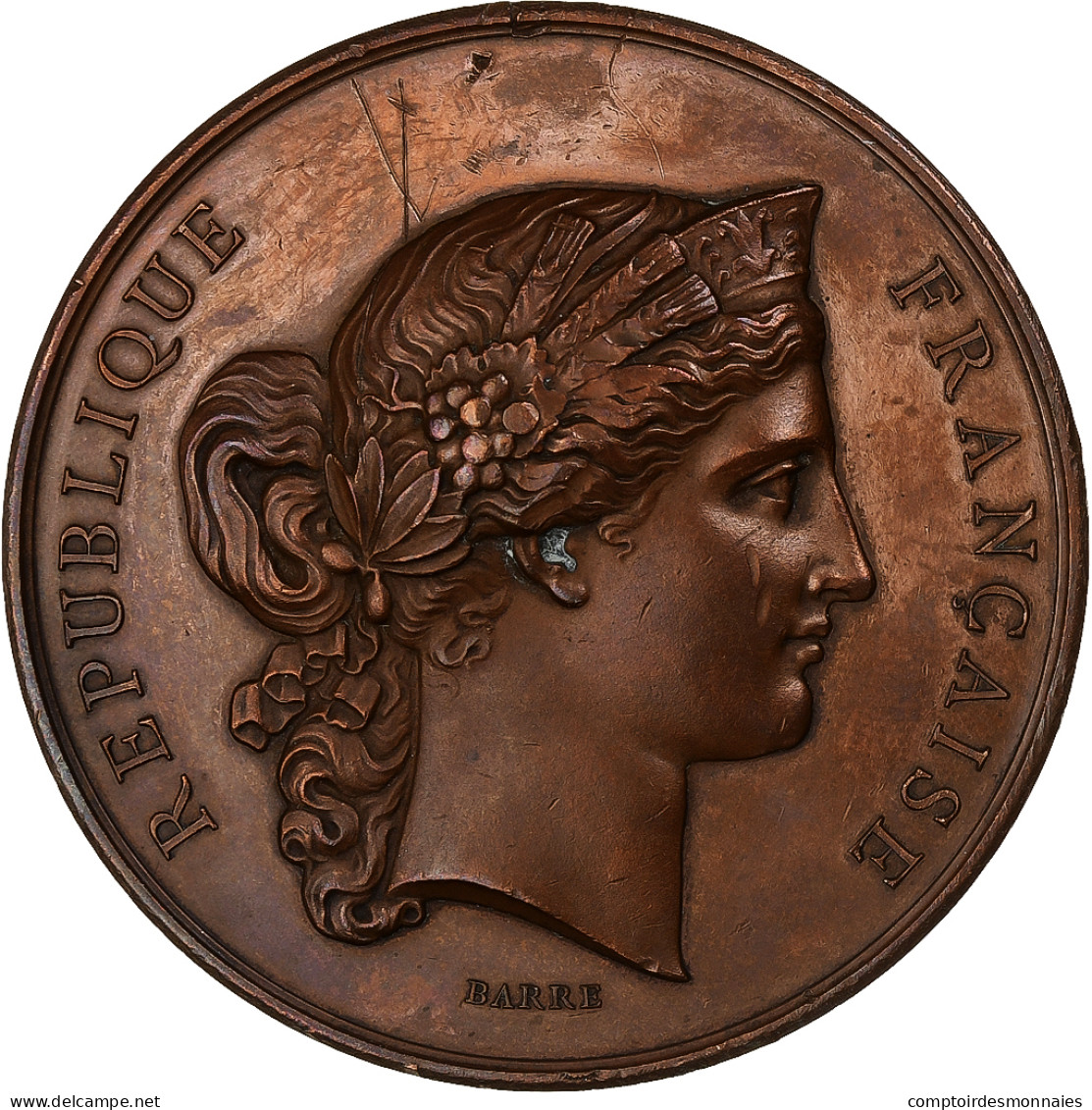 France, Médaille, Concours Général D'Animaux Et De Basse-Cour, Paris, 1878 - Andere & Zonder Classificatie
