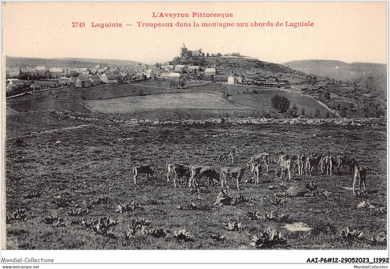 AAIP6-12-0524 - LAGUIOLE - Troupeaux Dans La Montagne Aux Abords De Lagiole  - Laguiole