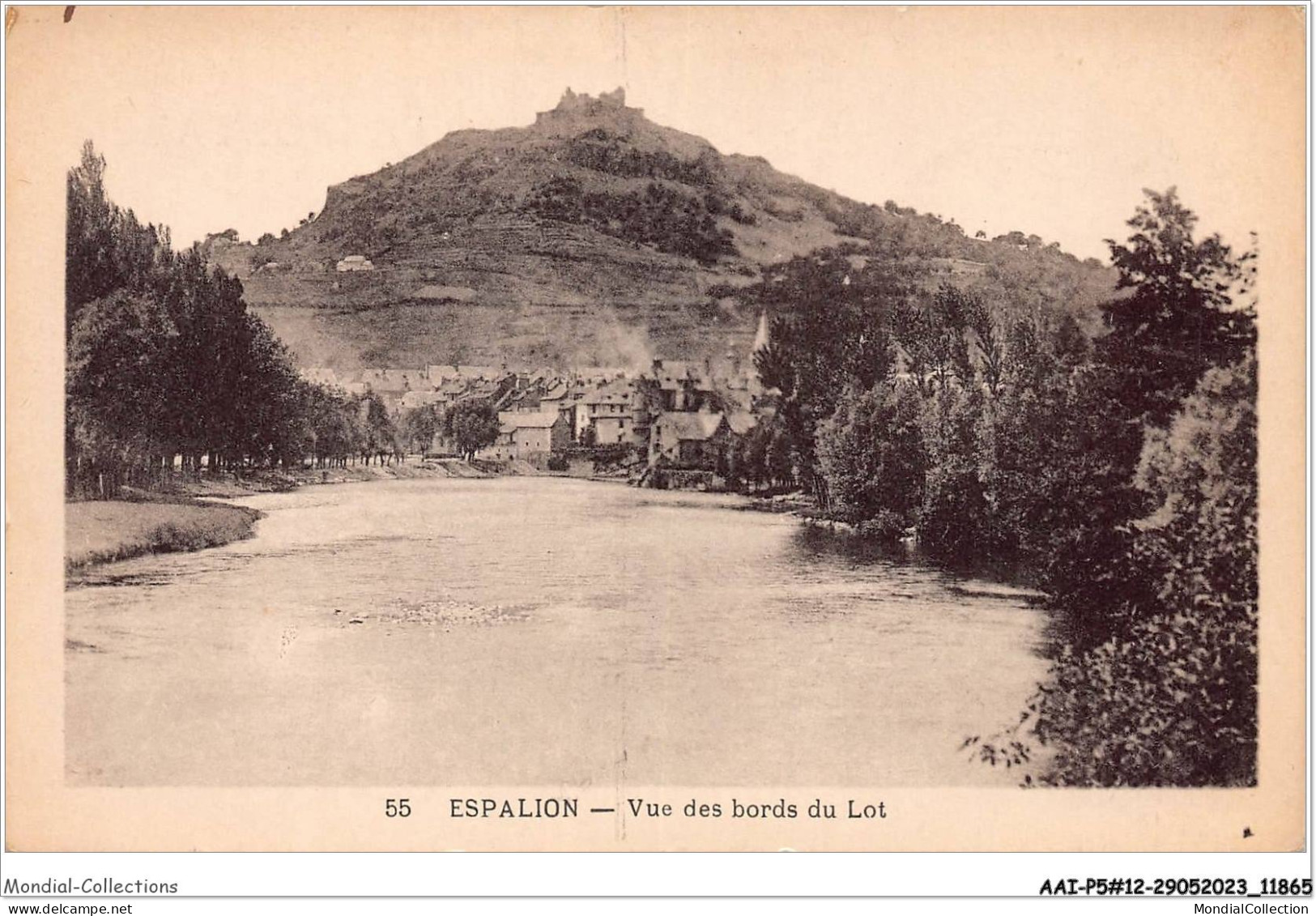 AAIP5-12-0460 - ESPALION - Vue Des Bords Du Lot  - Espalion