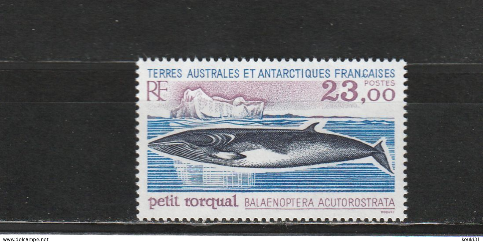 TAAF YT 197 ** : Petit Rorqual - 1995 - Unused Stamps