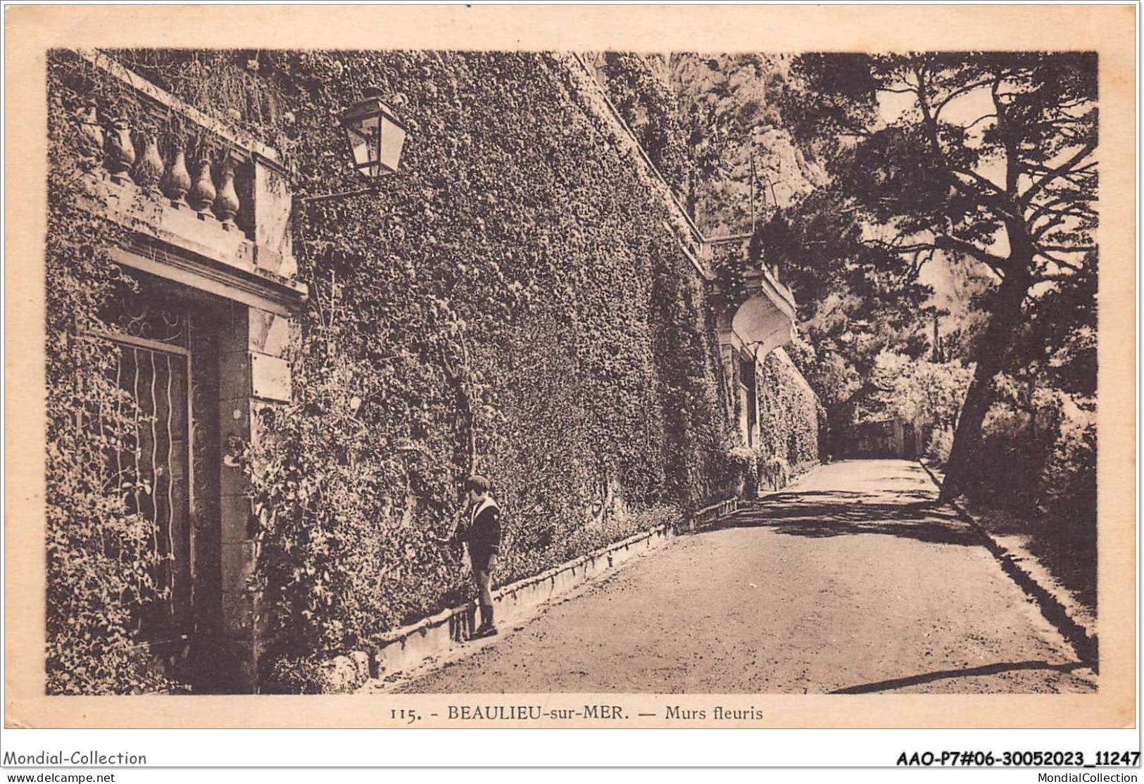 AAOP7-06-0578 - BEAULIEU-SUR-MER - Murs Fleuris - Beaulieu-sur-Mer