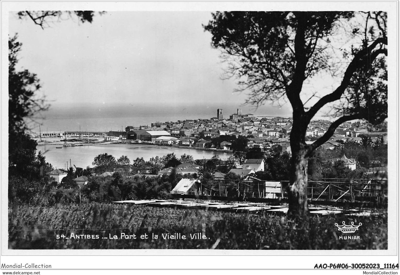 AAOP6-06-0536 - ANTIBES - Le Port Et La Vieille Ville - Antibes
