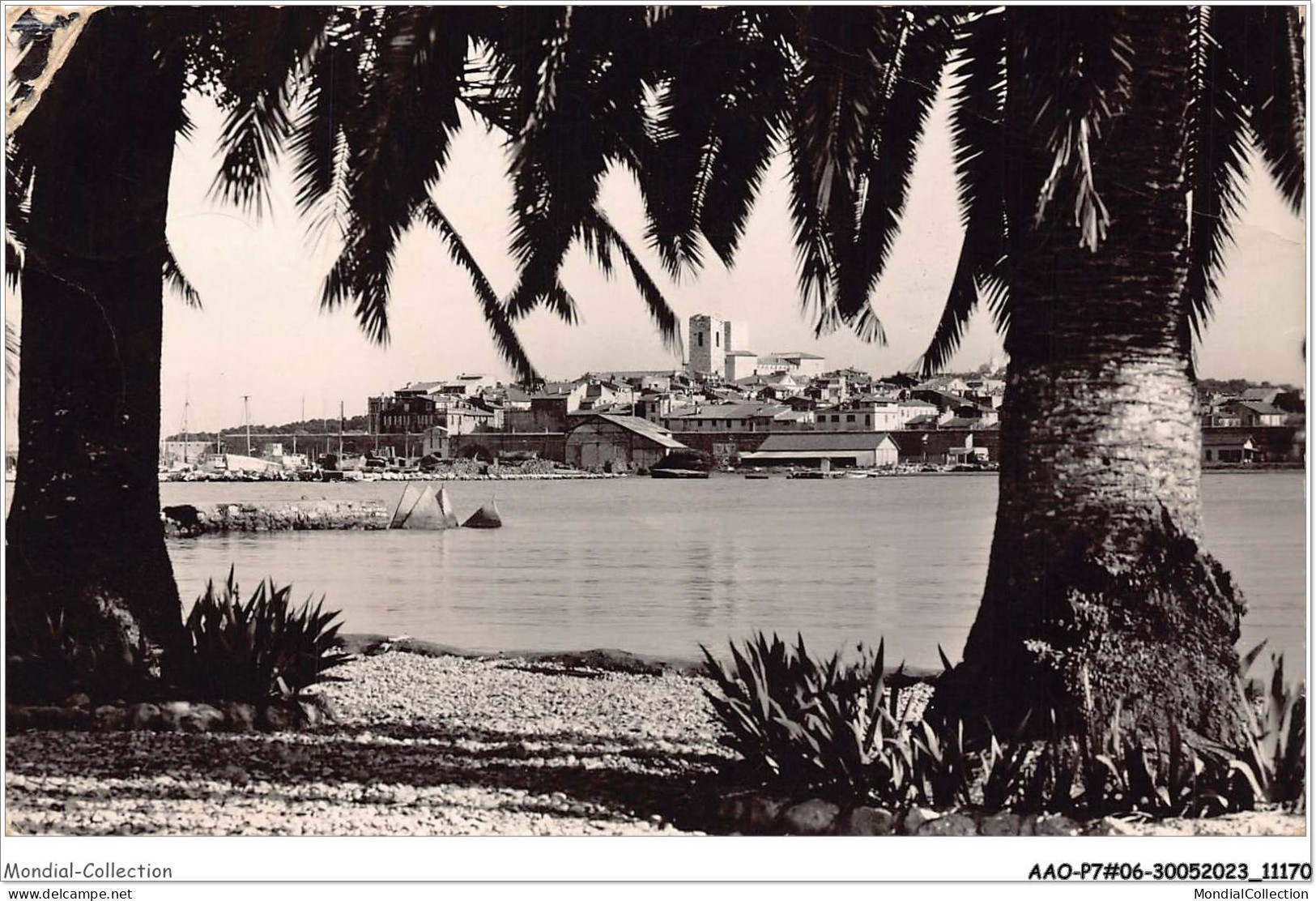 AAOP7-06-0539 - ANTIBES - Echappée Sur La Vieille Ville à Travers Les Palmiers - Antibes - Oude Stad