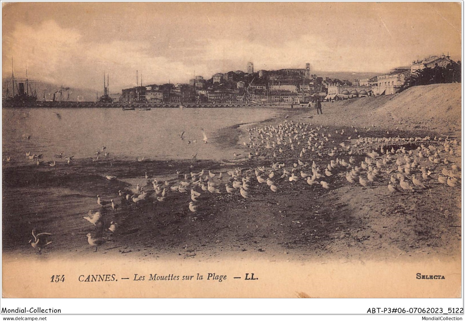 ABTP3-06-0249 - CANNES - Les Mouettes Sur La Plage - Cannes